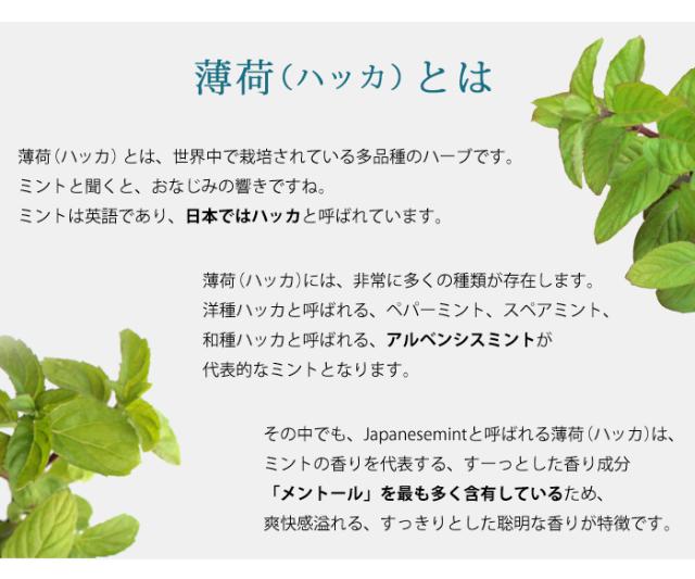薄荷とは