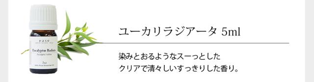 ユーカリラジアータ