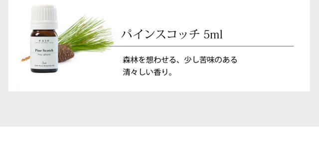 パインスコッチ