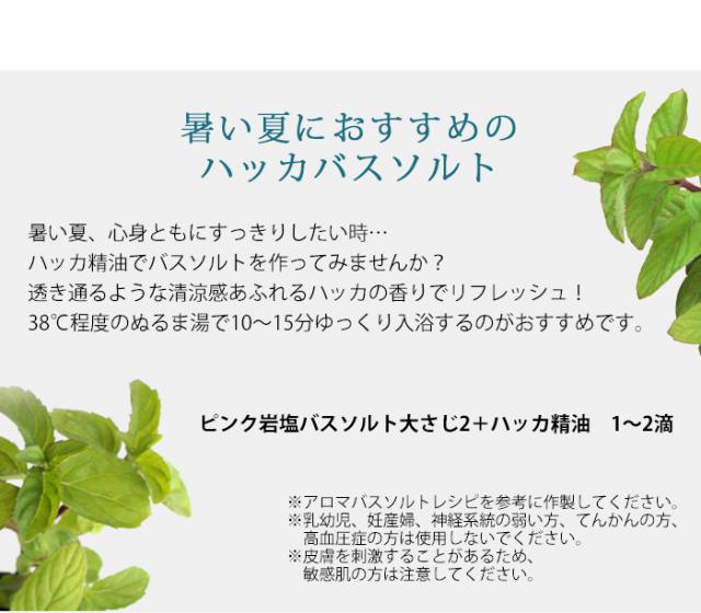 季節のおすすめ