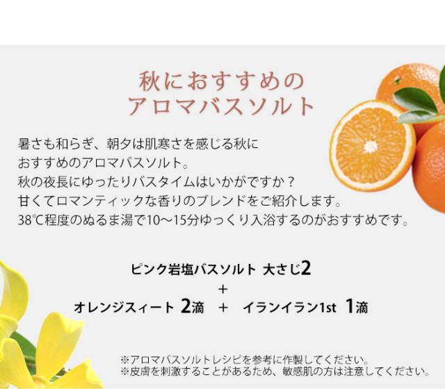 季節のおすすめ