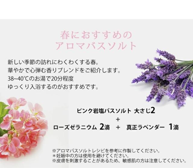 季節のおすすめ