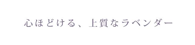 心ほどける、上質なラベンダー