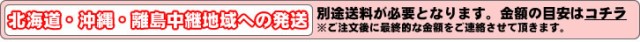 北海道・沖縄・離島中継地域への発送