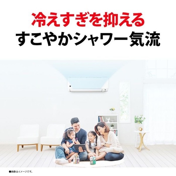 エアコン 標準工事費込 8畳用 シャープ 2.5kW DGシリーズ 2025年モデル AY-T25DG-W ホワイト系