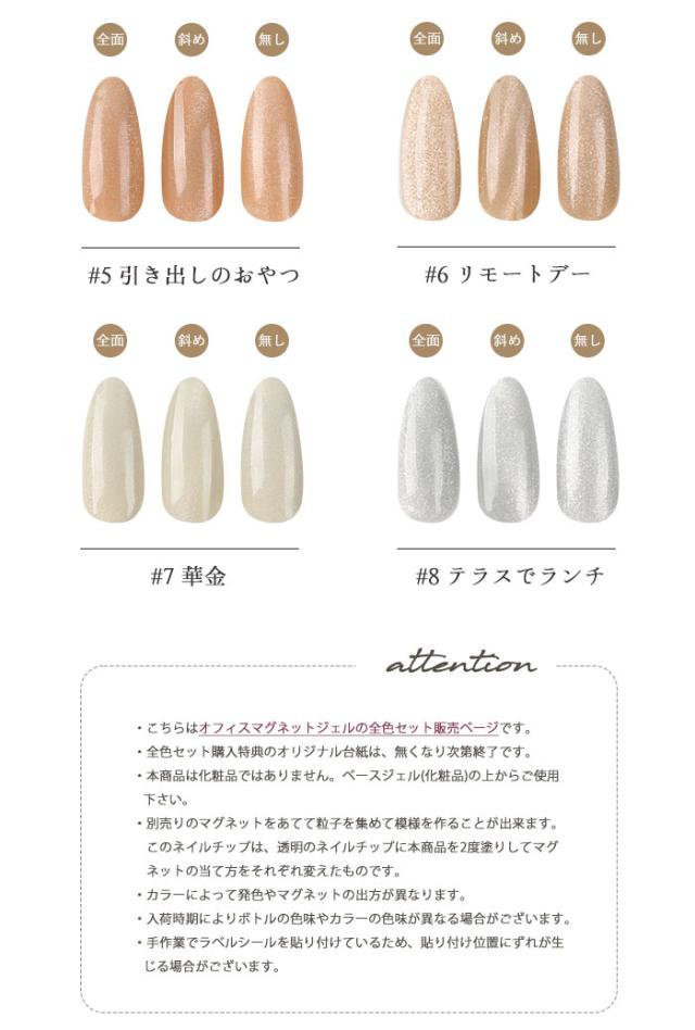 オフィスマグネットカラーバリエーション