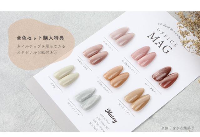 台紙プレゼント