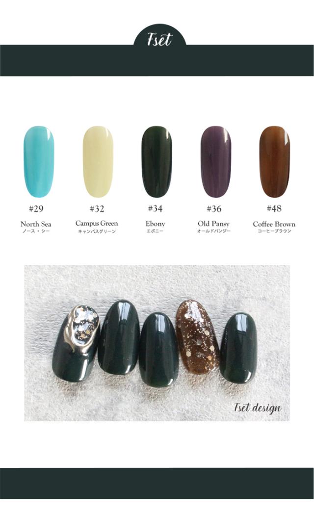 チアジェルポリッシュおすすめ5色セットバリエーション