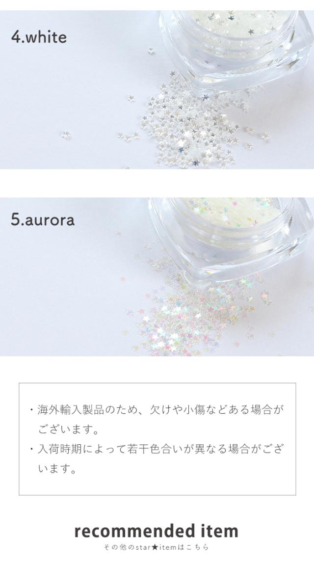 ミニスターホログラムバリエーション