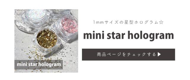 ミニスターホログラム