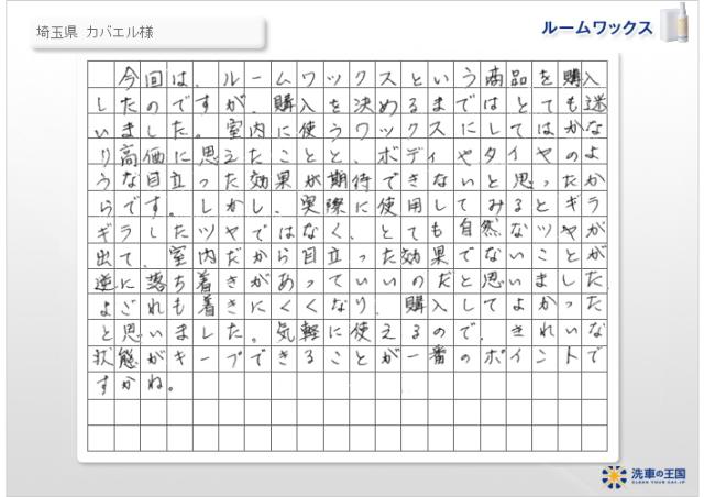 ホイールクリーナー 鉄粉除去剤 ブレーキクリーナー ブレーキダスト ホイール汚れ ブレーキダスト除去 洗車の王国 ブレーキダストカット