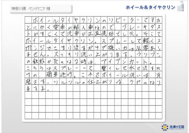 ホイールクリーナー タイヤクリーナー ブレーキダスト 除去 ホイール洗浄剤 洗車の王国 SENSHA
