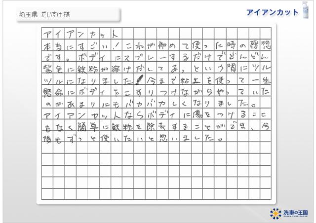 鉄粉除去剤 鉄粉クリーナー アイアンカット 鉄粉除去