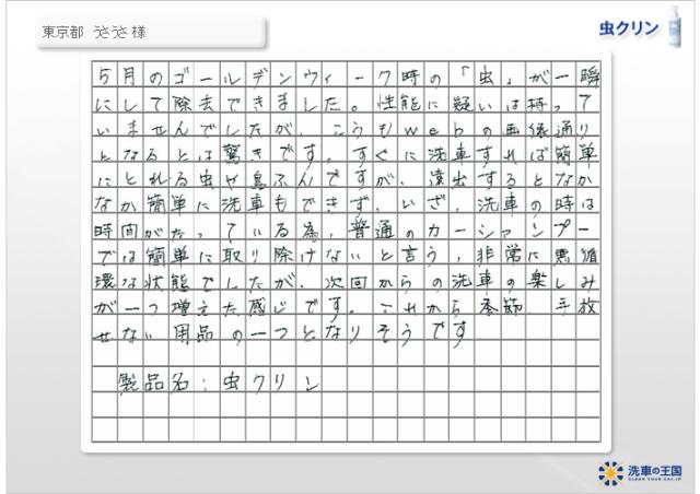 虫取りクリーナー 虫除去剤 虫クリーナー 鳥フン 鳥糞 鳥ふん とりふん クリーナー 虫クリン 洗車の王国