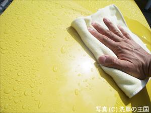 カーシャンプー