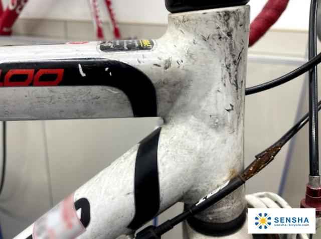 自転車用水垢除去剤 水垢 水垢クリーナー 自転車用クリーナー 自転車汚れ 洗車用品 自転車 磨き 洗車