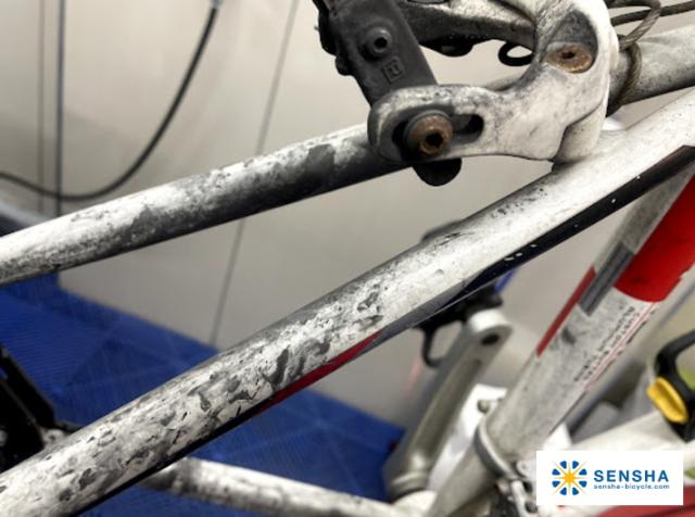 自転車用水垢除去剤 水垢 水垢クリーナー 自転車用クリーナー 自転車汚れ 洗車用品 自転車 磨き 洗車