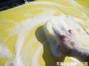 コンパウンド 研磨剤