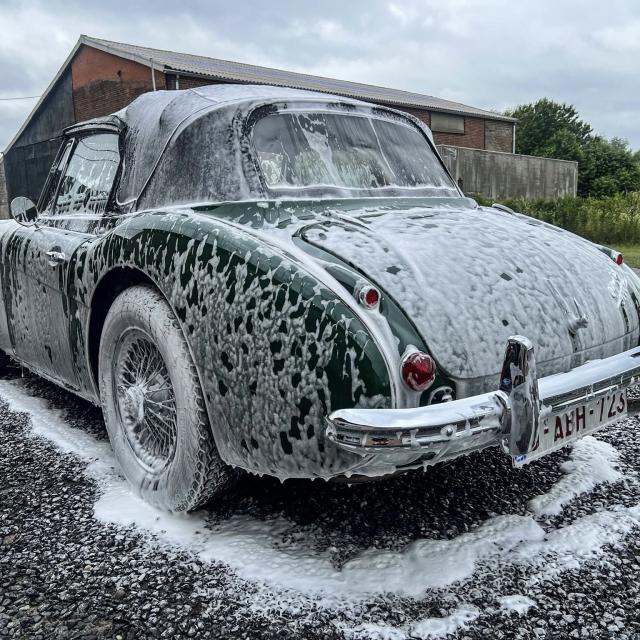 ムートングローブ 洗車用品