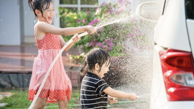 ガラスコーティング 洗車用品 コーティング剤 洗車の王国 ファインクリスタル