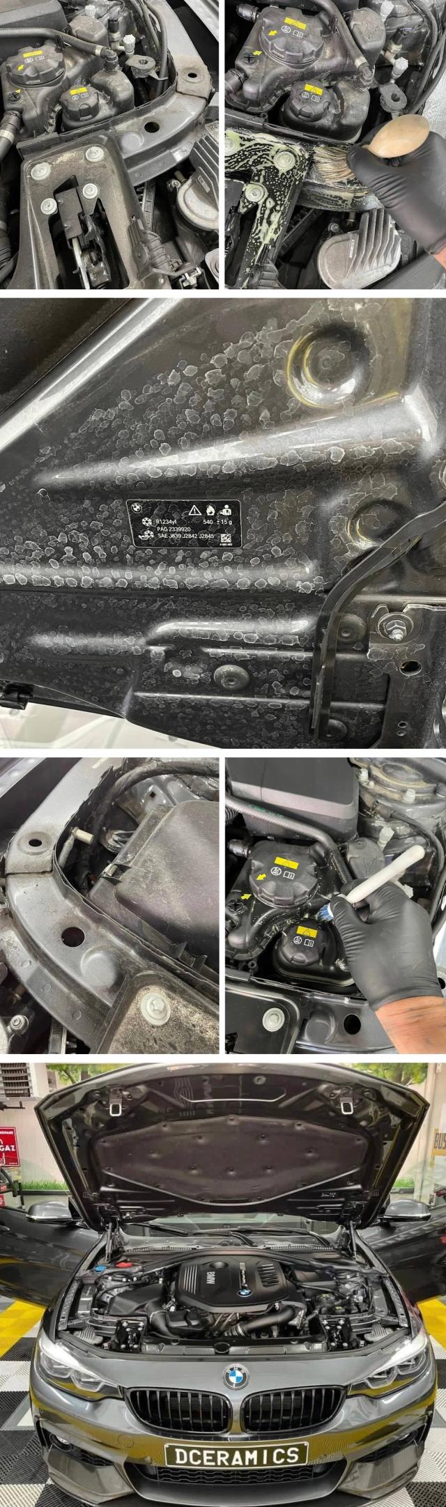 エンジンクリーナー エンジンルーム クリーナー エンジン 洗浄剤 洗車の王国 SENSHA