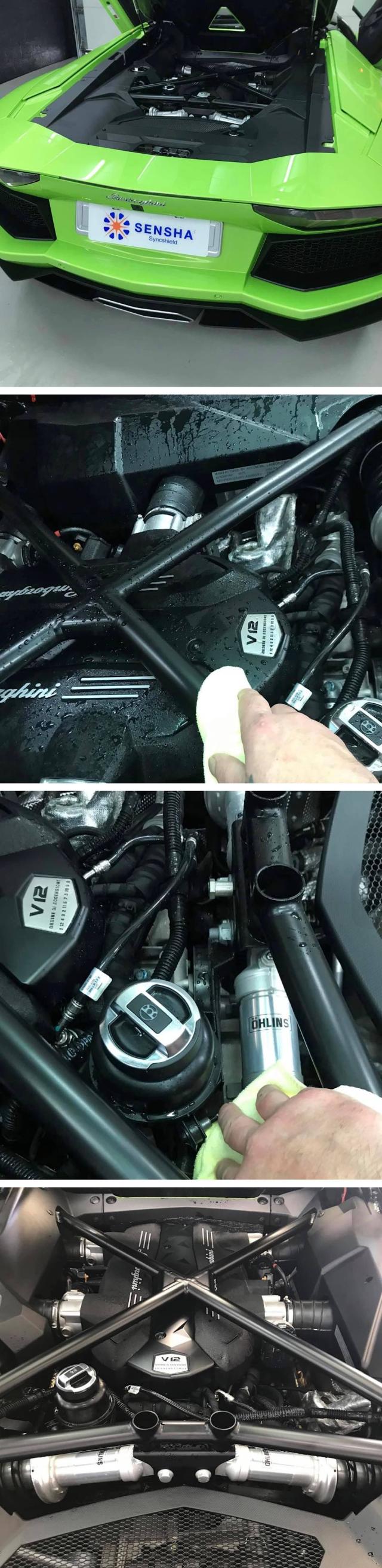 エンジンクリーナー エンジンルーム クリーナー エンジン 洗浄剤 洗車の王国 SENSHA