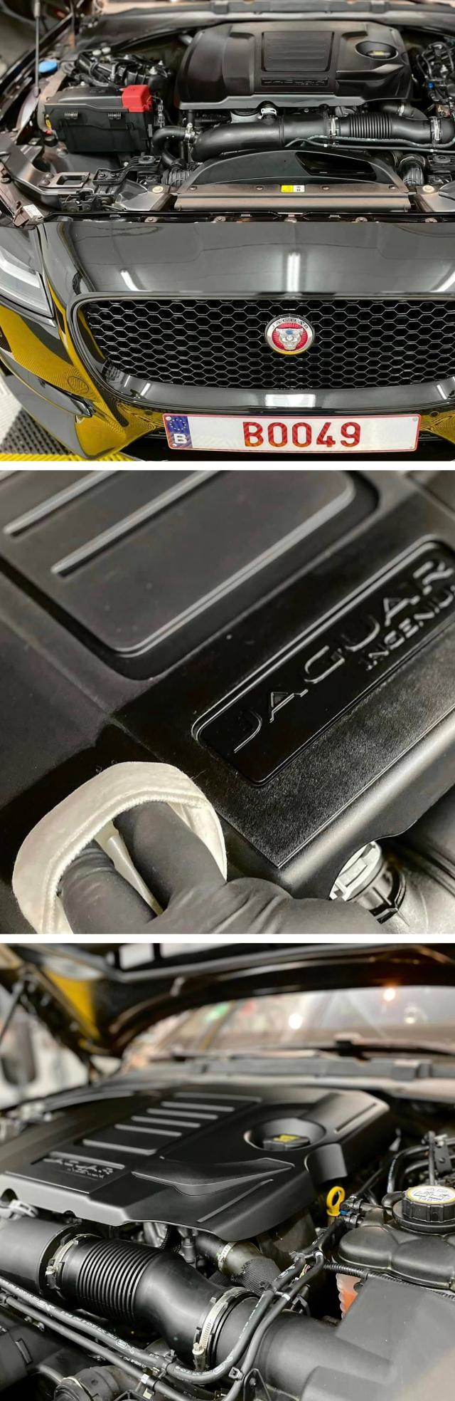 エンジンクリーニング エンジンワックス エンジンルーム 艶出し エンジン 洗車の王国 SENSHA