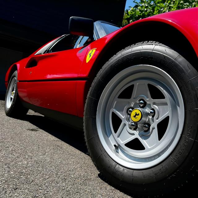 タイヤワックス 水性タイヤワックス 洗車の王国 SENSHA