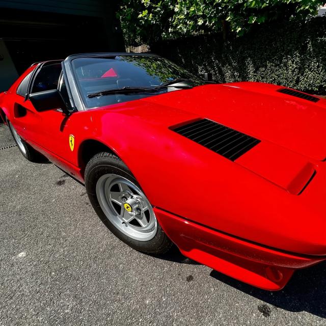 タイヤワックス 水性タイヤワックス 洗車の王国 SENSHA