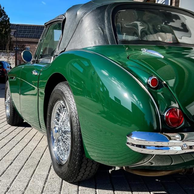 タイヤワックス 油性タイヤワックス 洗車の王国 SENSHA