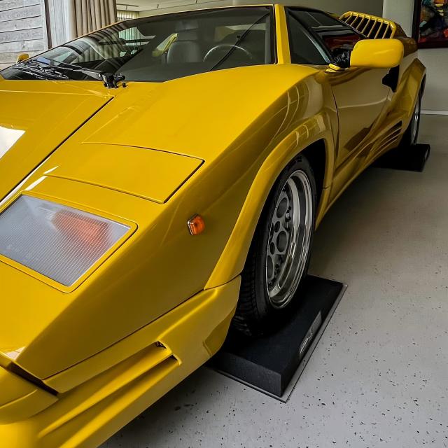 タイヤワックス 油性タイヤワックスPRO 洗車の王国 SENSHA