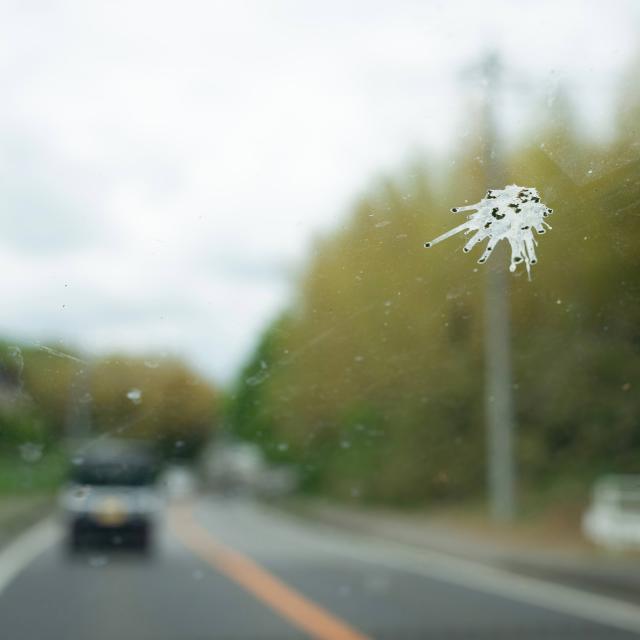 ウォッシャー液 ウィンドウクリスタル 撥水コーティング剤 洗車の王国 SENSHA ウィンドウクリスタル専用ウォッシャー