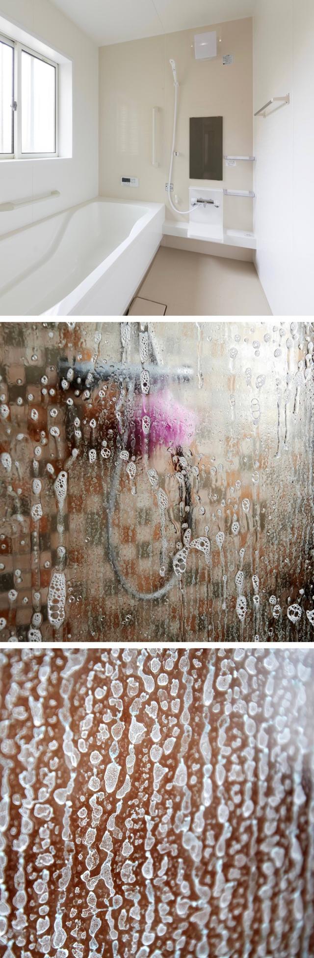 ガラスクリーナー ウォータースポット除去剤 スケール除去剤 輪じみ ウロコ除去剤 グラスポリッシュ 洗車の王国 SENSHA