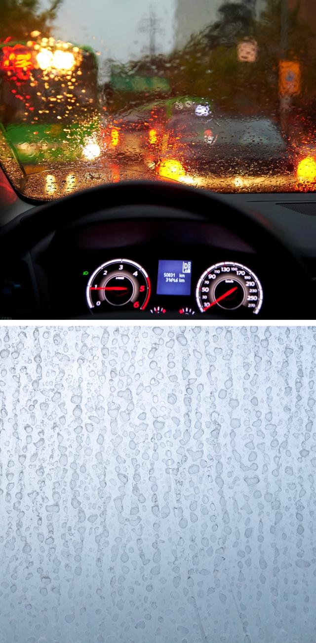 ガラスクリーナー ウォータースポット除去剤 スケール除去剤 輪じみ ウロコ除去剤 グラスポリッシュ 洗車の王国 SENSHA