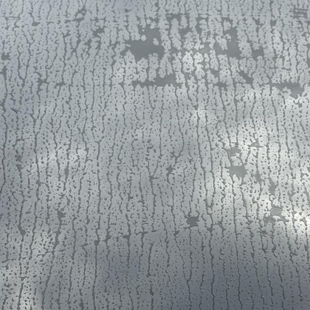 油膜クリーナー 油膜取り 油膜除去剤 ガラスクリーナー 油膜除去 スケールクリーナー スケール除去剤 油膜クリン 洗車の王国 SENSHA