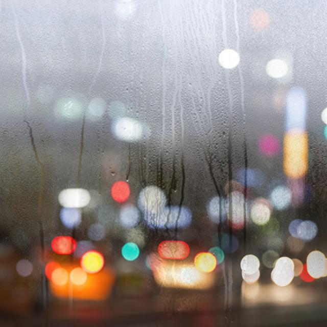 曇り止め ビュークリア 曇り止め剤 洗車の王国 曇り止めコーティング SENSHA 防曇コーティング