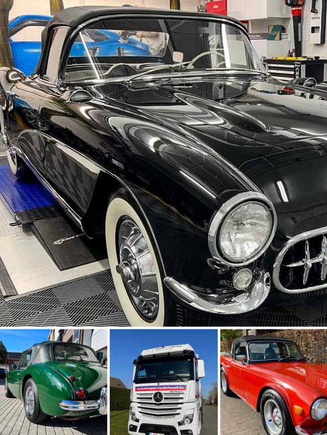 曇り止め ビュークリア 曇り止め剤 洗車の王国 曇り止めコーティング SENSHA 防曇コーティング