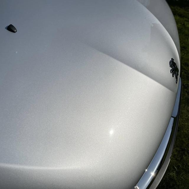 鉄粉除去 テップナーネンド 鉄粉 塗装ミスト 除去用 粘土 ネンド ねんど 洗車の王国 SENSHA