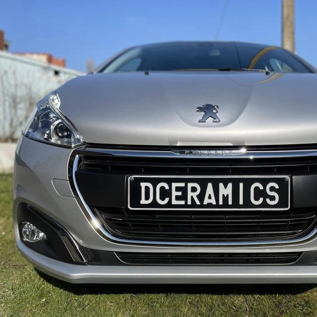 鉄粉除去 テップナーネンド 鉄粉 塗装ミスト 除去用 粘土 ネンド ねんど 洗車の王国 SENSHA