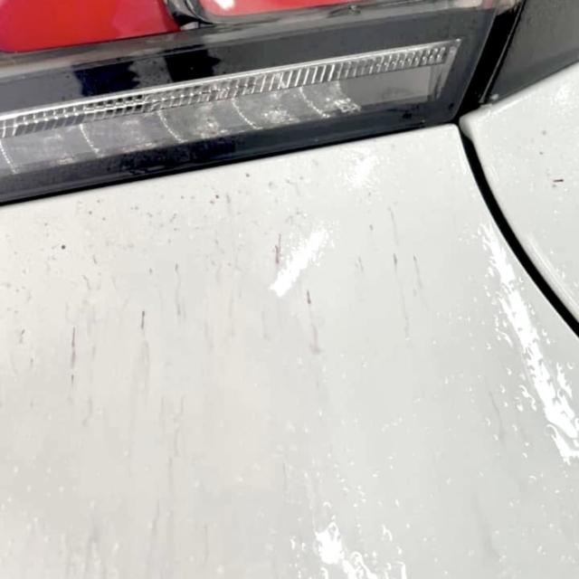 鉄粉除去剤 鉄粉クリーナー アイアンカット 鉄粉除去