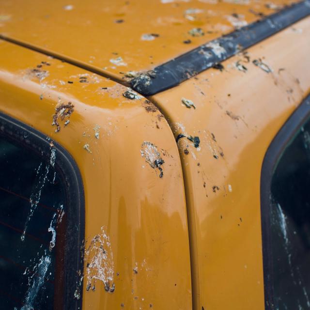 虫取りクリーナー 虫除去剤 虫クリーナー 鳥フン 鳥糞 鳥ふん とりふん クリーナー 虫クリン 洗車の王国