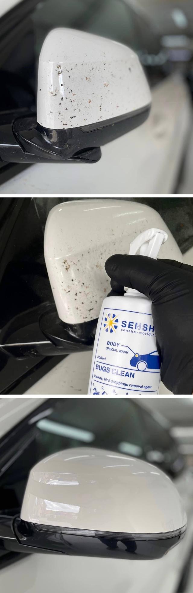 虫取りクリーナー 虫除去剤 虫クリーナー 鳥フン 鳥糞 鳥ふん とりふん クリーナー 虫クリン 洗車の王国
