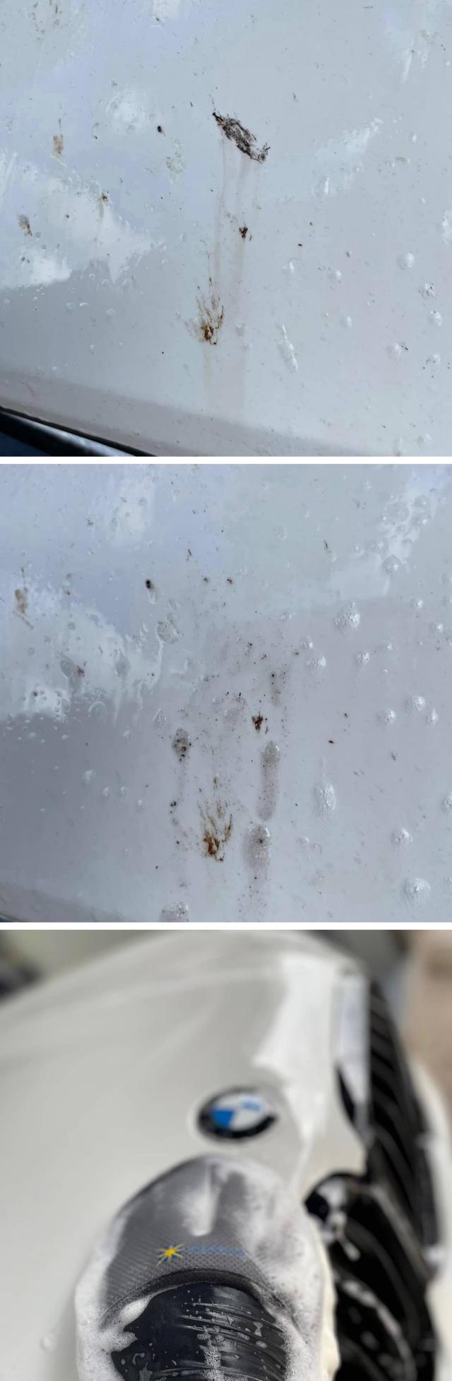 虫取りクリーナー 虫除去剤 虫クリーナー 鳥フン 鳥糞 鳥ふん とりふん クリーナー 虫クリン 洗車の王国