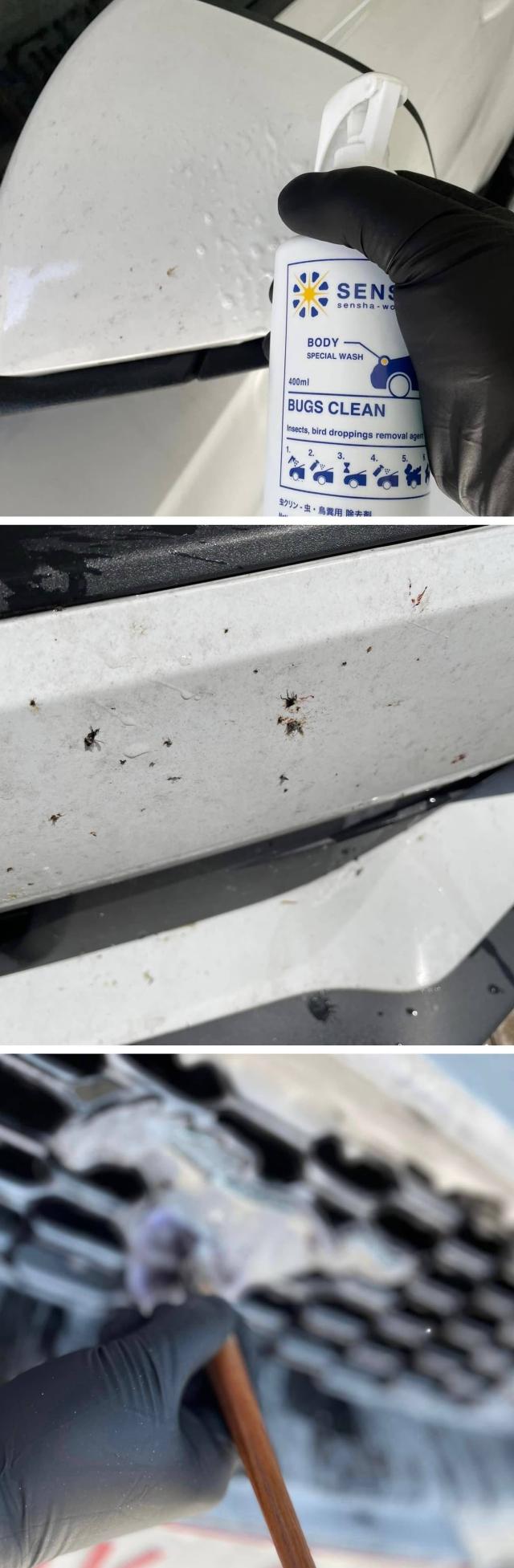 虫取りクリーナー 虫除去剤 虫クリーナー 鳥フン 鳥糞 鳥ふん とりふん クリーナー 虫クリン 洗車の王国