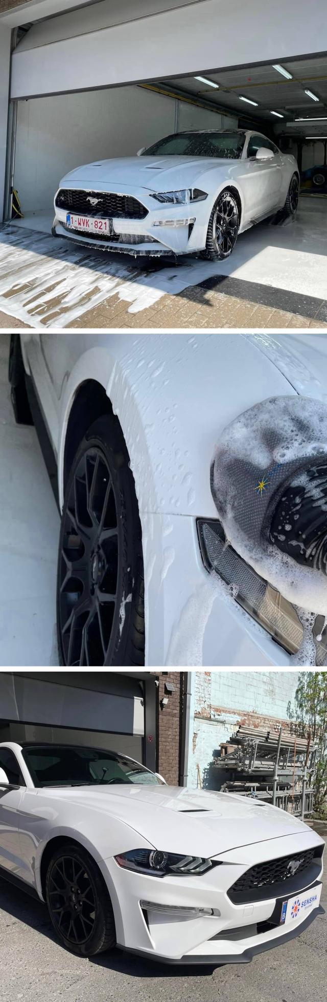 虫取りクリーナー 虫除去剤 虫クリーナー 鳥フン 鳥糞 鳥ふん とりふん クリーナー 虫クリン 洗車の王国