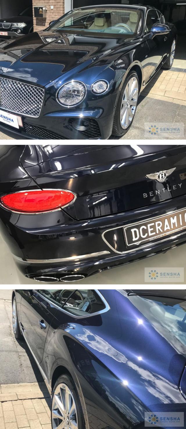 ガラスコーティング剤 コーティング剤