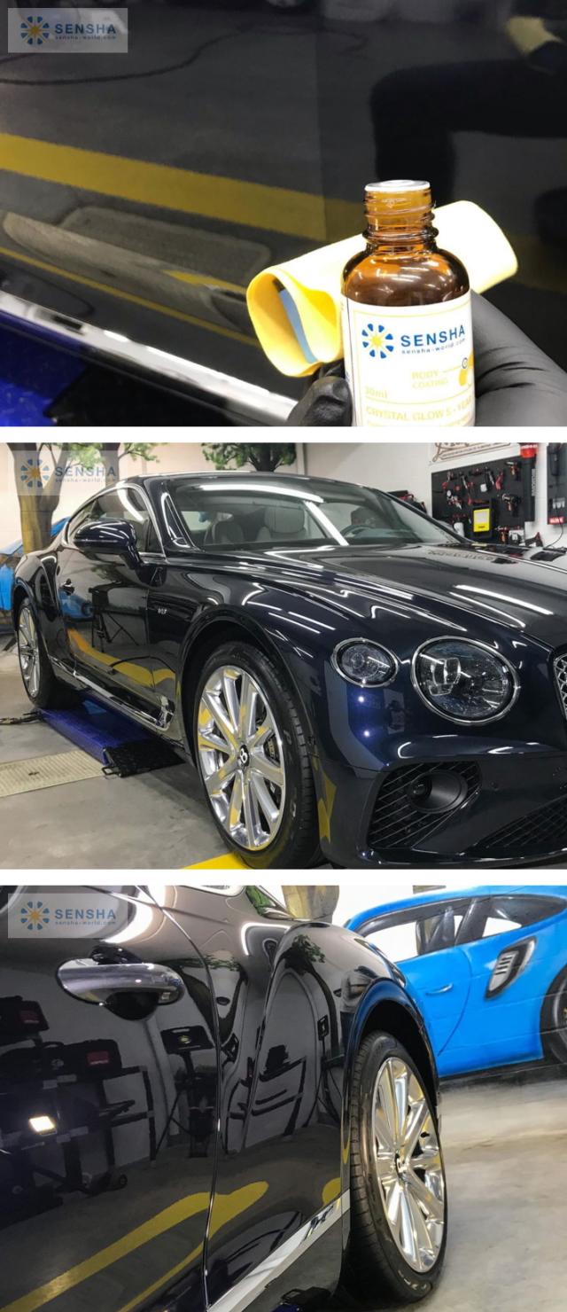 ガラスコーティング剤 コーティング剤