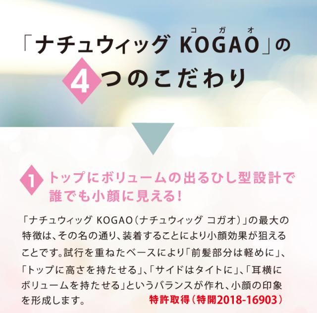 ナチュウィッグ KOGAO ブラウン (巾着付き) (送料無料 ボリュームアップ 小顔効果 白髪隠し UV 抗菌仕様 人工皮膚ネット)《ティーライフ》