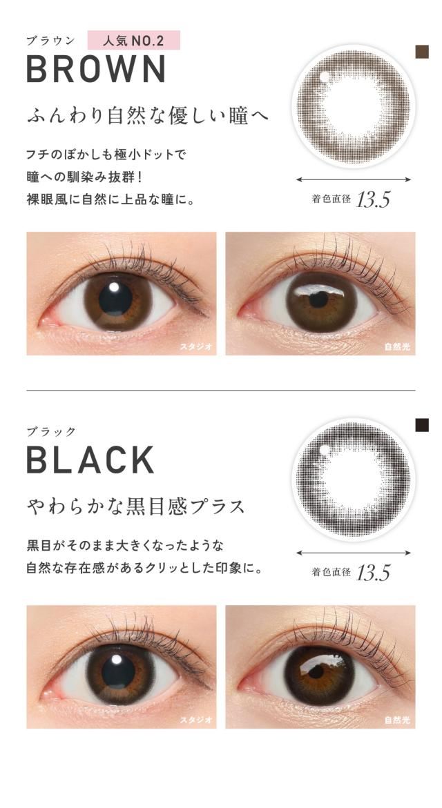 BROWN ブラウン・BLACK ブラック