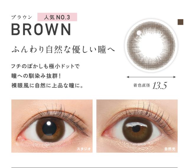 BROWN ブラウン